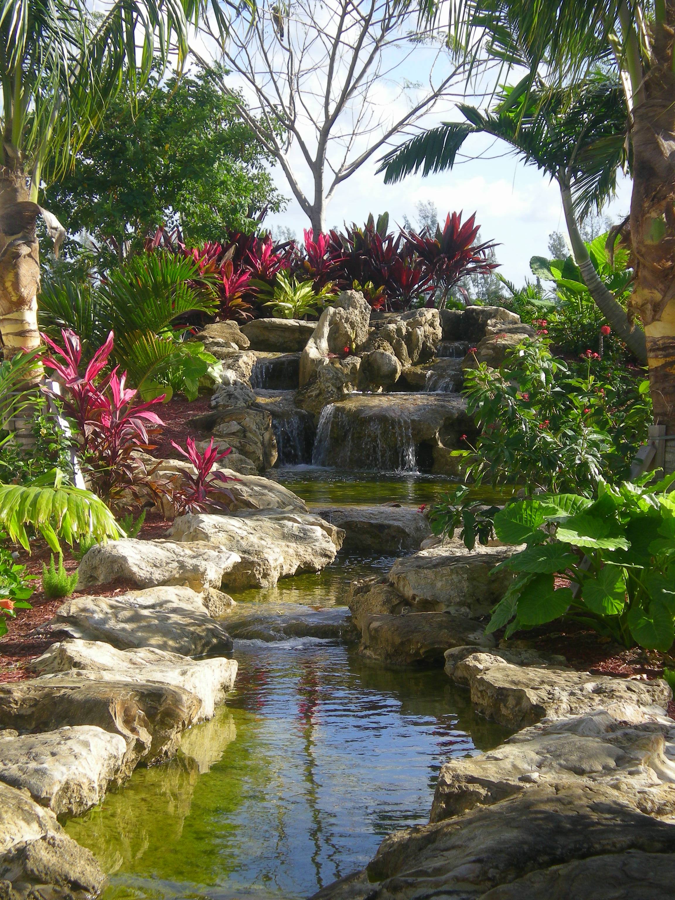 Tropical Gardens Pamela Crawford