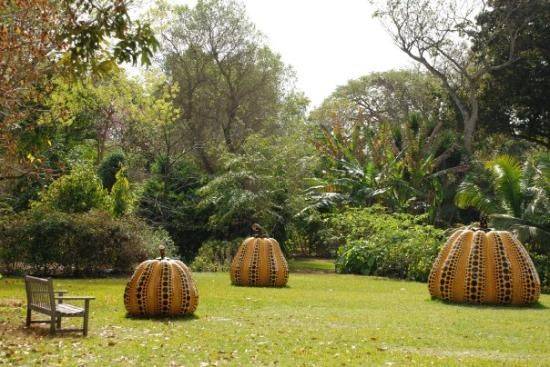 Fairchild Tropical Botanic Garden