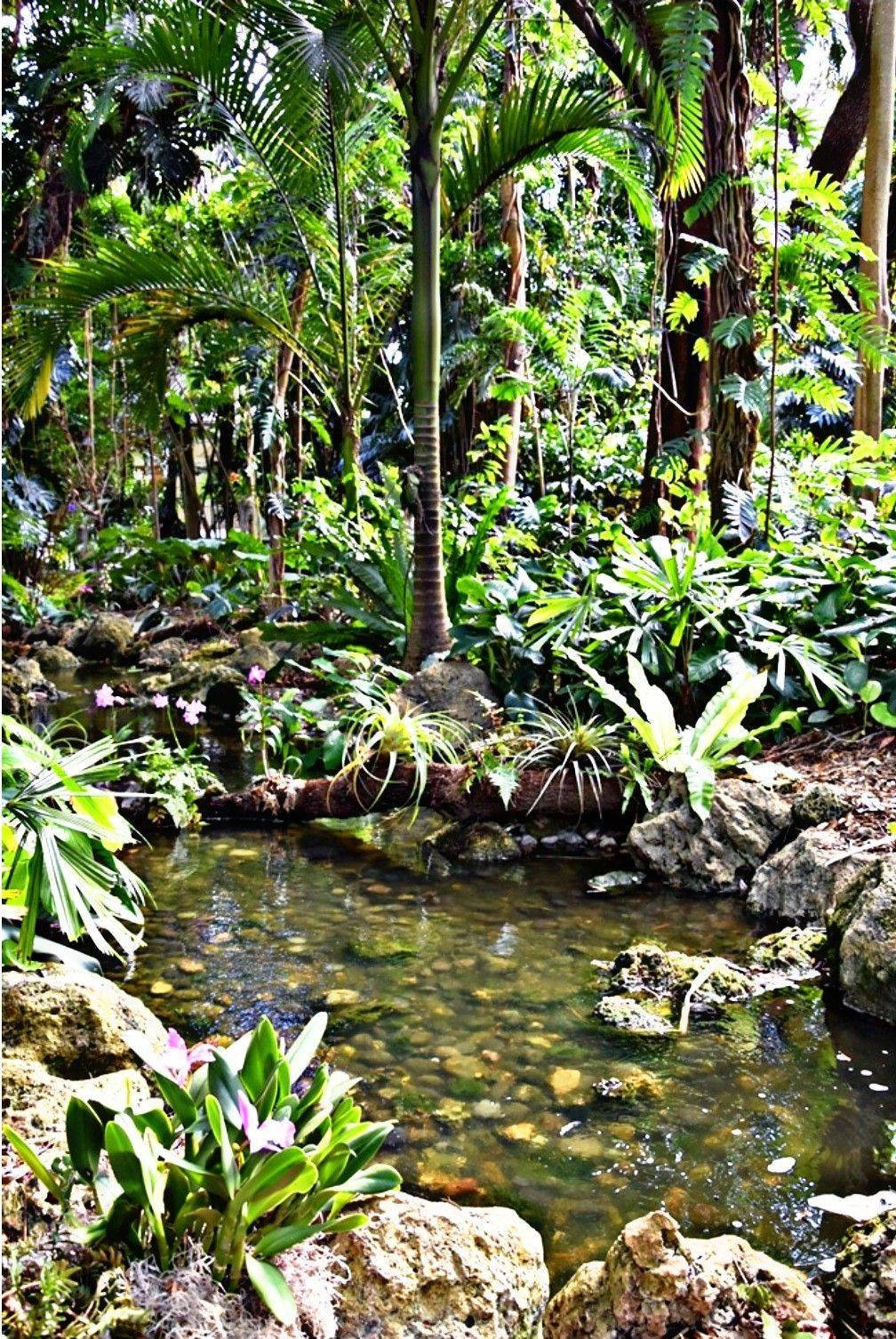 Fairchild Botanical Gardens Miami Botanical Fairchild Garden Photos