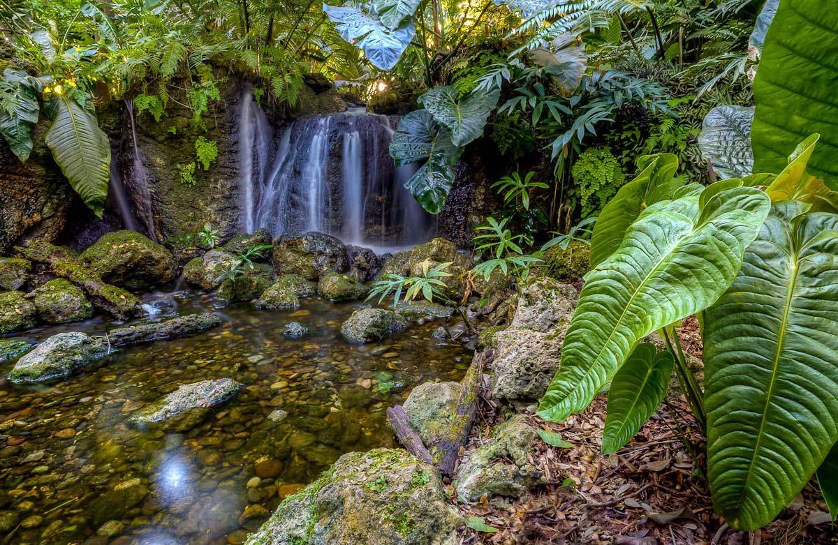 Fairchild Gardens Miami Fairchild Tropical Botanical Garden