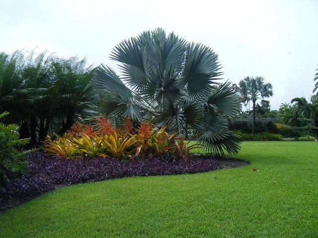 Fairchild Tropical Botanical Garden