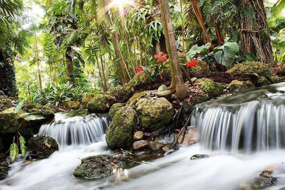 Fairchild Tropical Botanic Garden