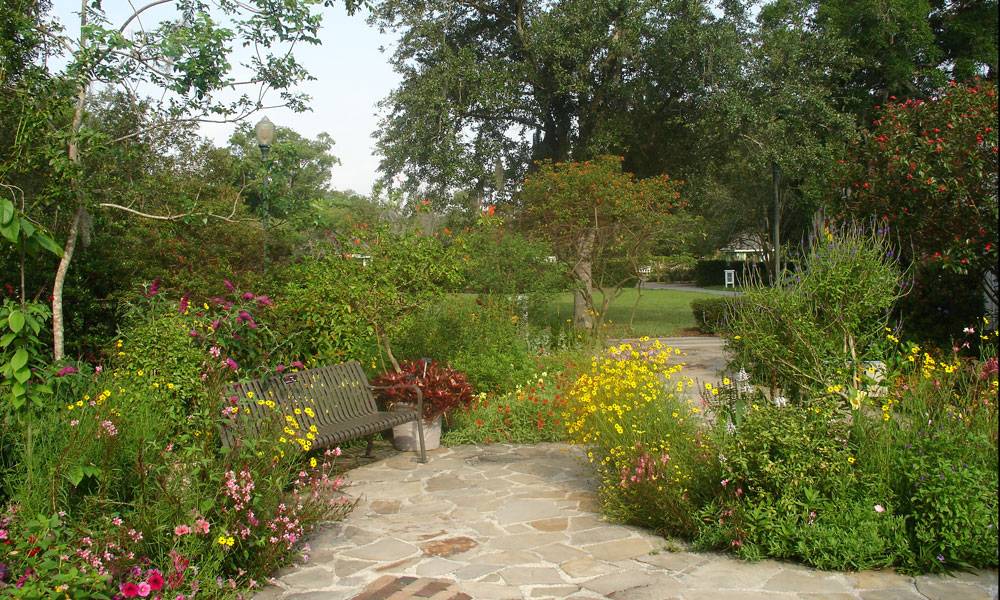 Harry P Leu Gardens