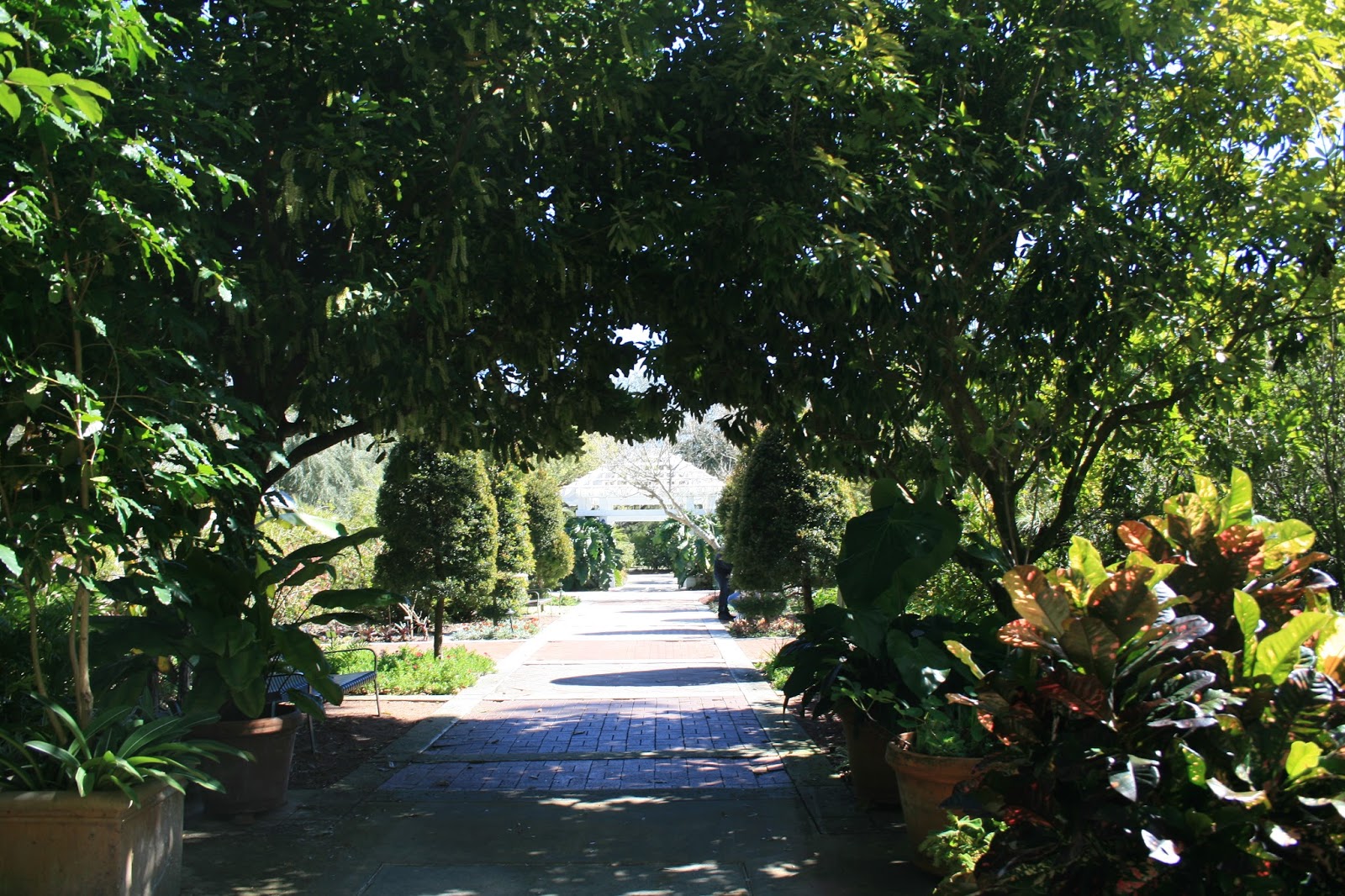 Harry P Leu Gardens