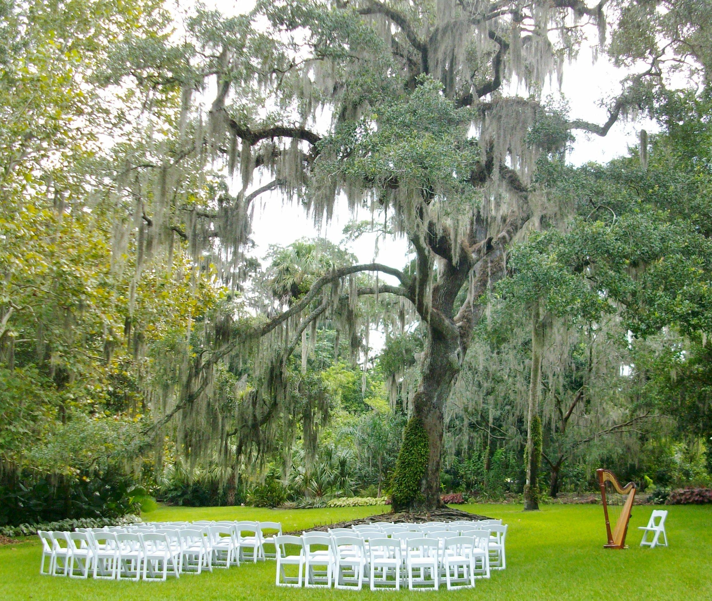 Florida Youramazingplacescom
