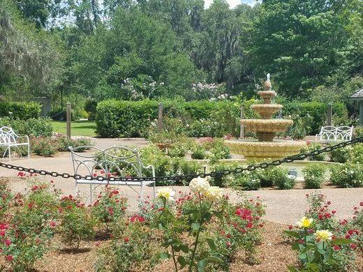 Harry P Leu Gardens
