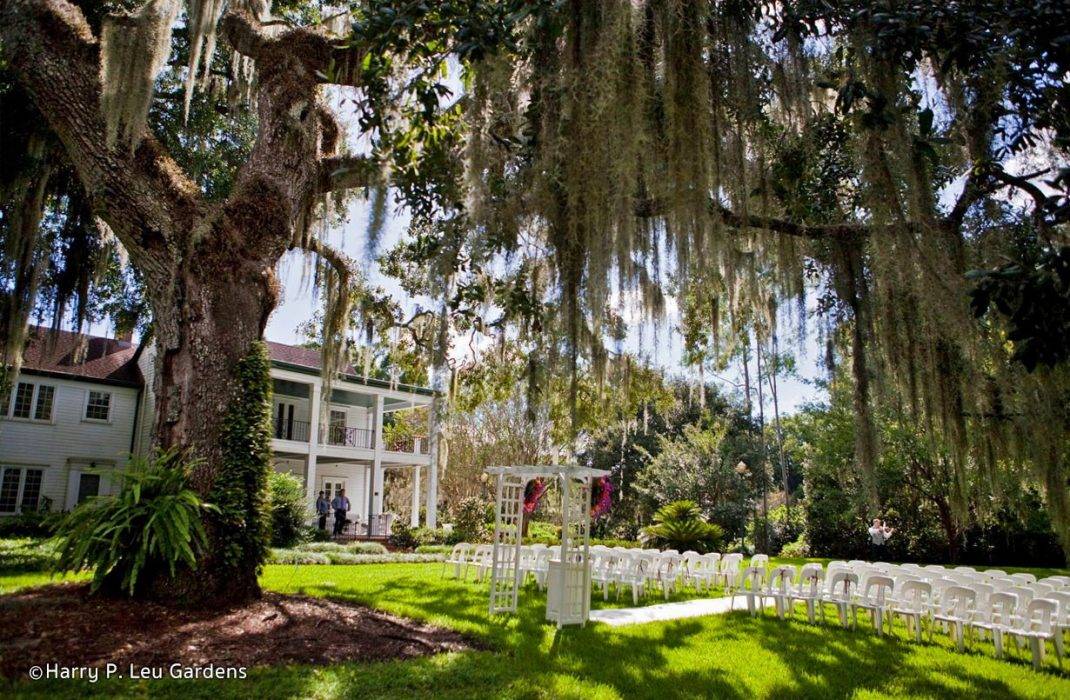 Leu Gardens Leu Gardens Orlando Fl Ricardos Photography