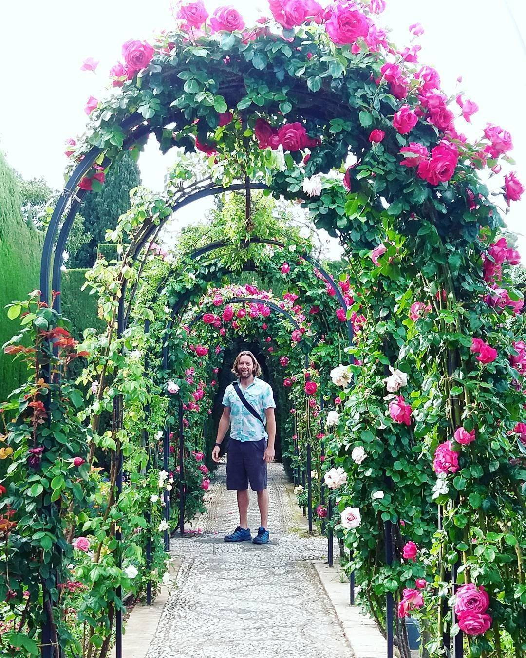 The Generalife Beautiful Moorish Gardens