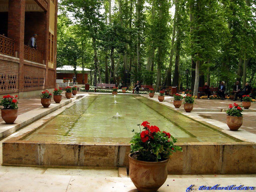 Blossomed Arch Garden Inspiration