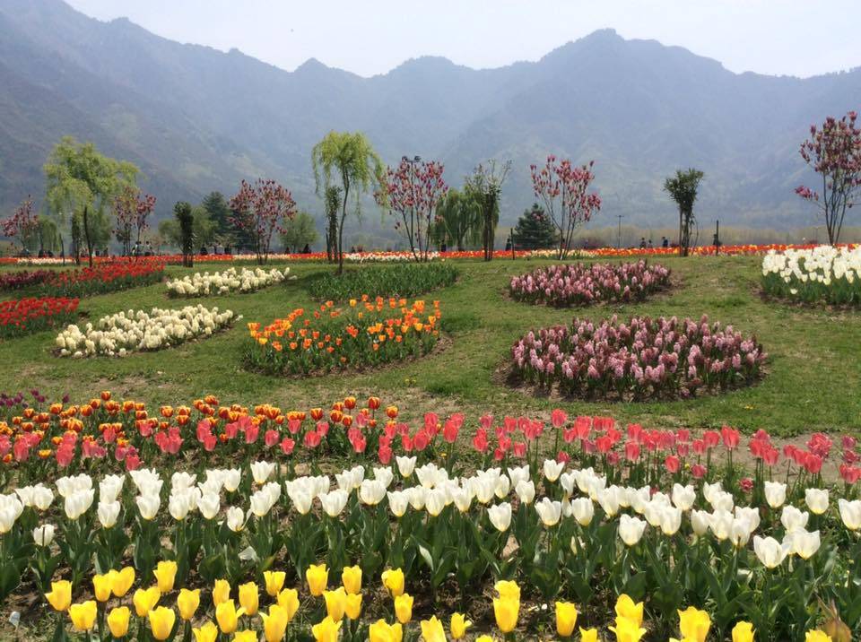Indira Gandhi Memorial Tulip Garden