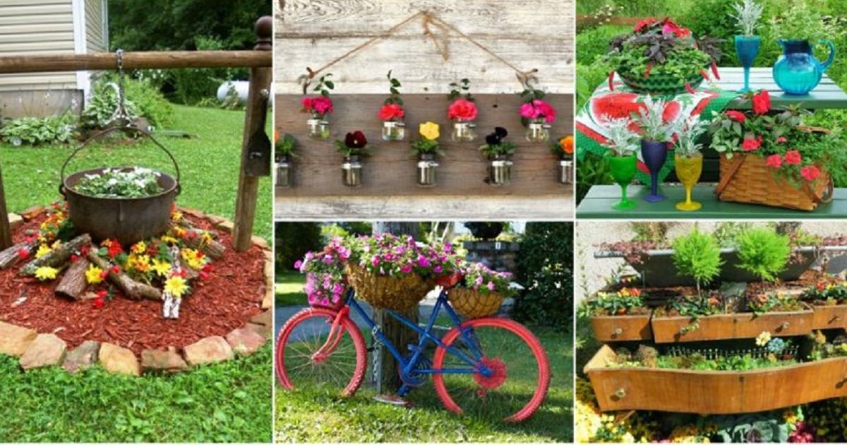 Terrace Vegetable Garden Ideas