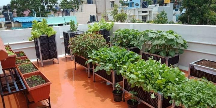 Areas Useful Garden Ideas