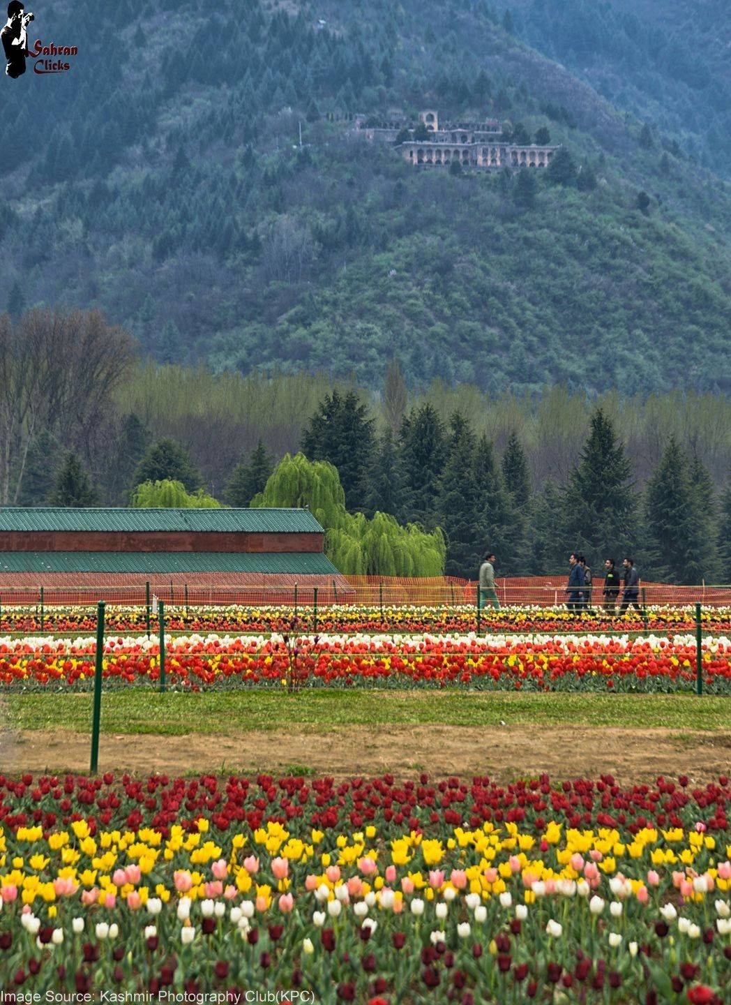 Kashmer Tourism