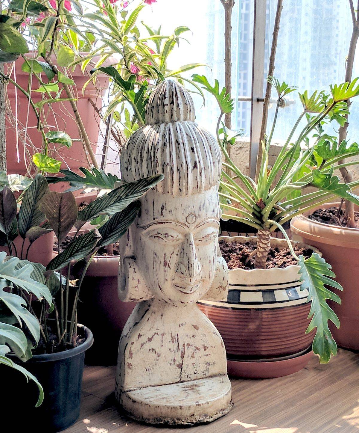 Mughal Garden Botanical Garden