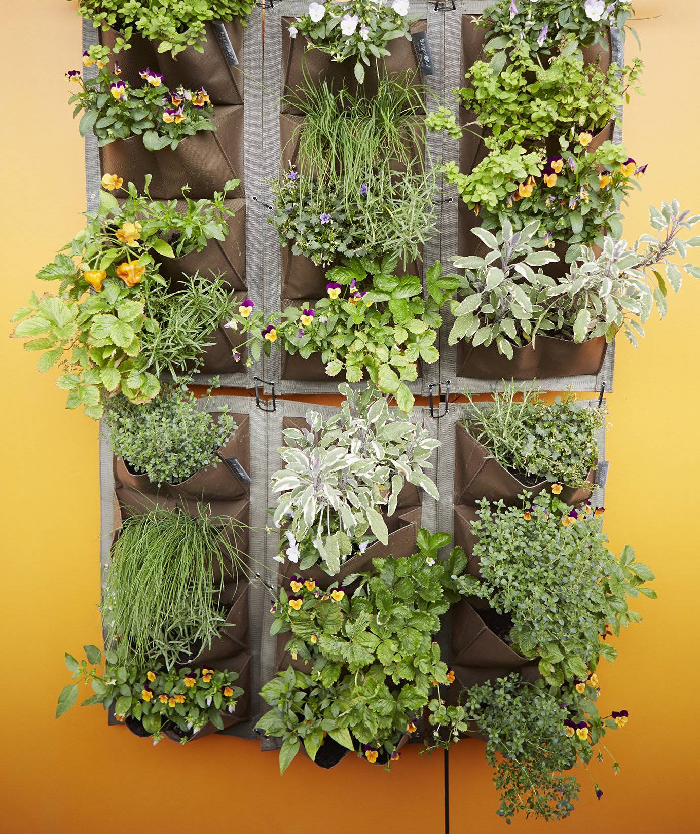 Most Attractive Diy Hanging Garden Ideas