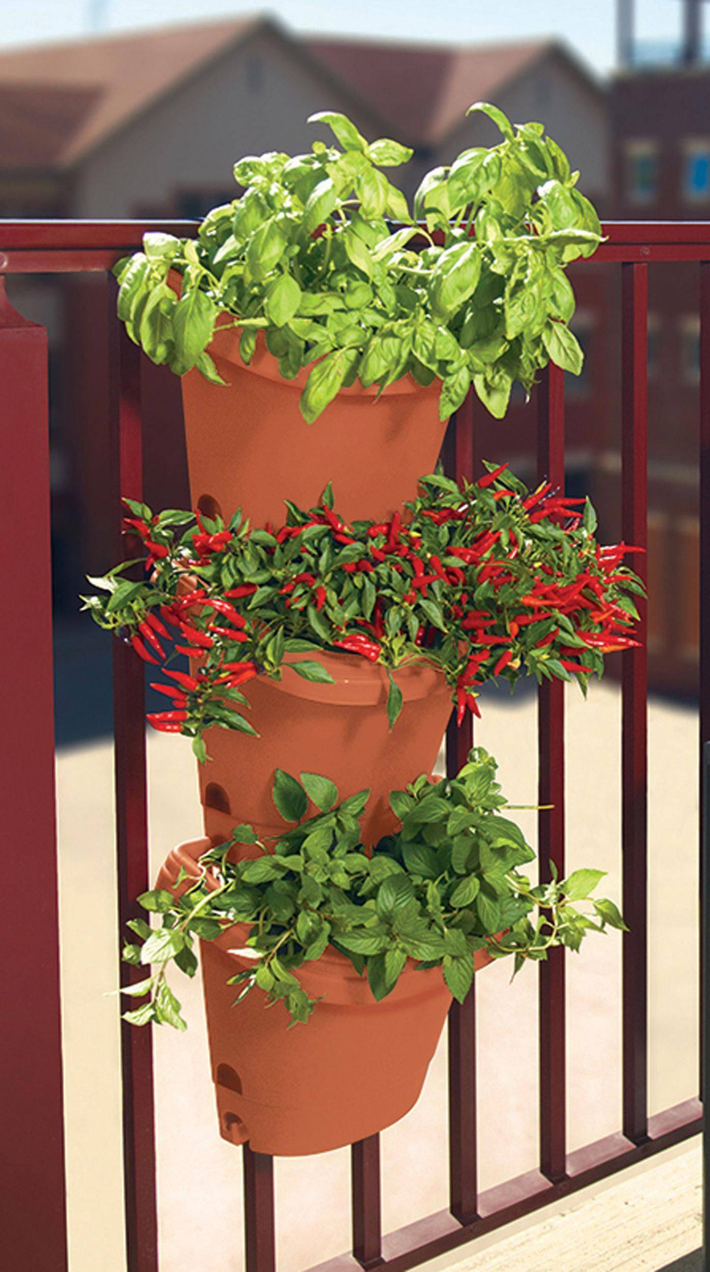 Diy Hanging Herb Garden Ideas