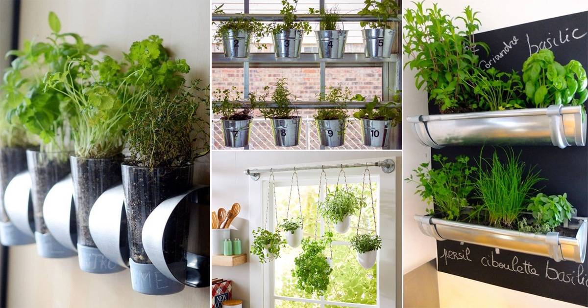 Hanging Herb Garden Ideas