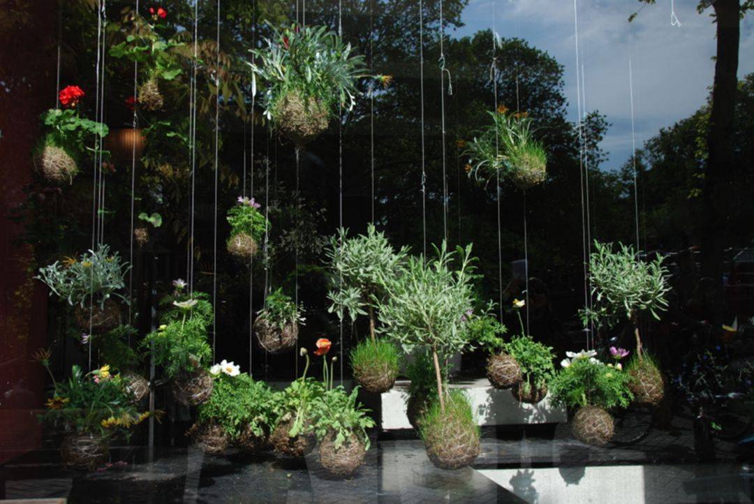 A Vertical Hanging Garden