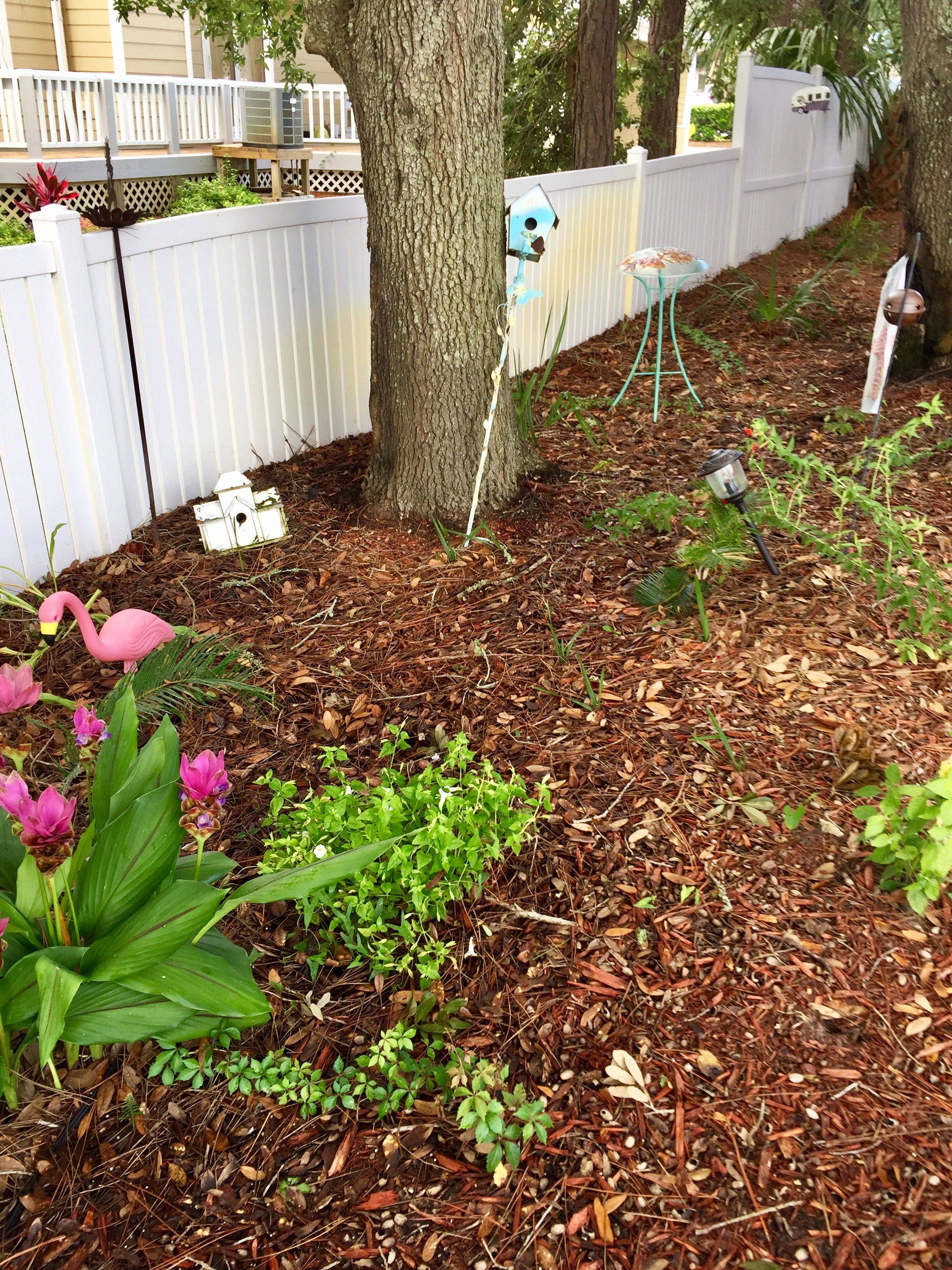 Shalimar Gardens