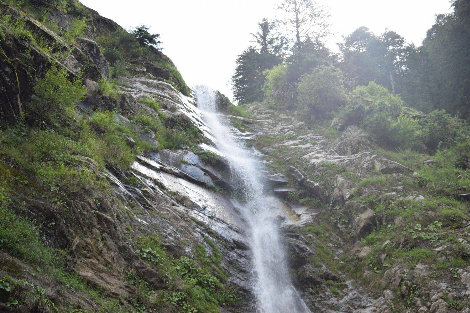 Kashmir Shalimar