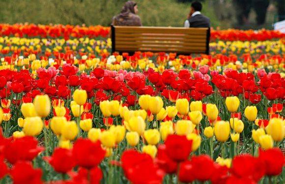 Srinagar India Spring Sign