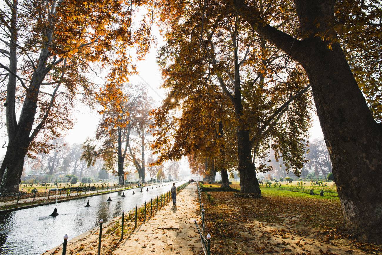 Beautiful Gardens