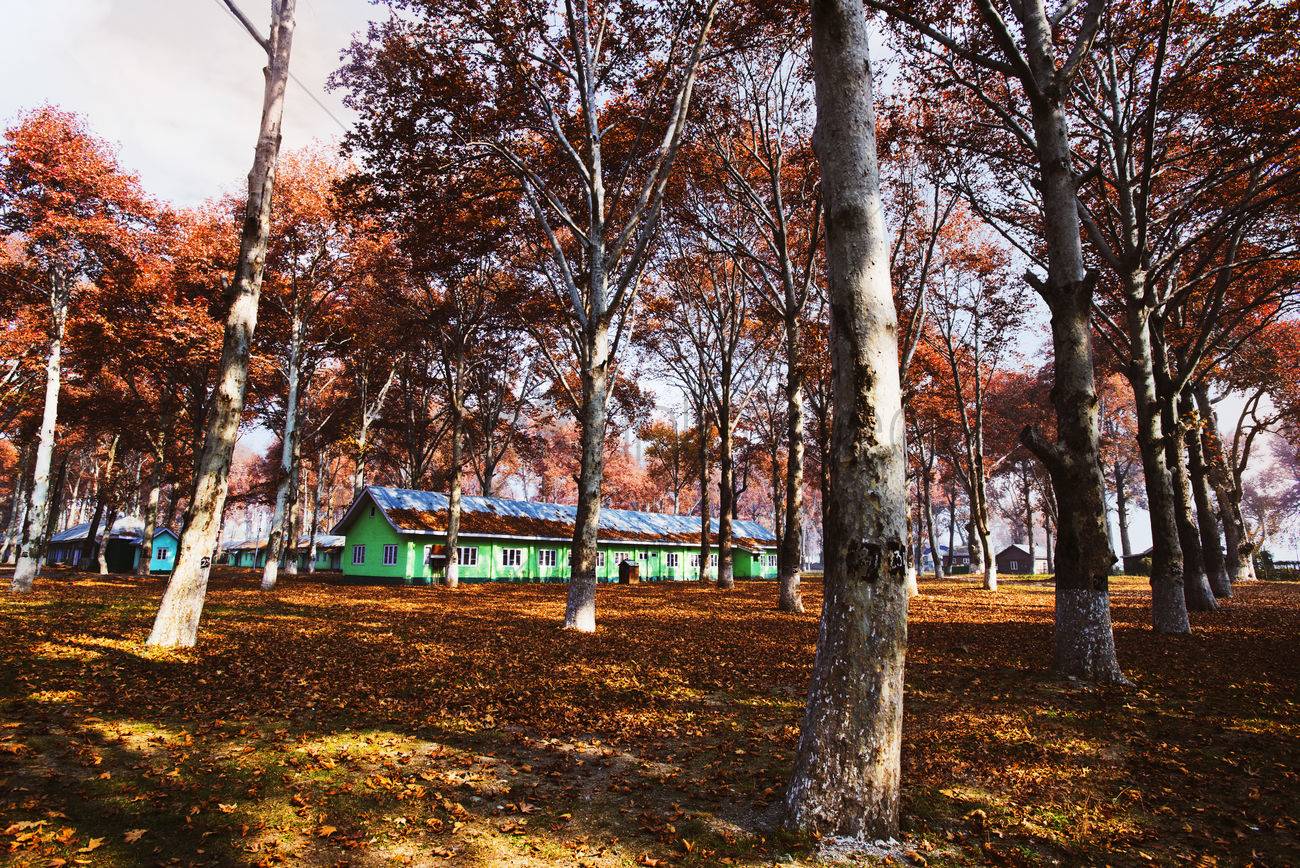 Kokernag Rose Garden