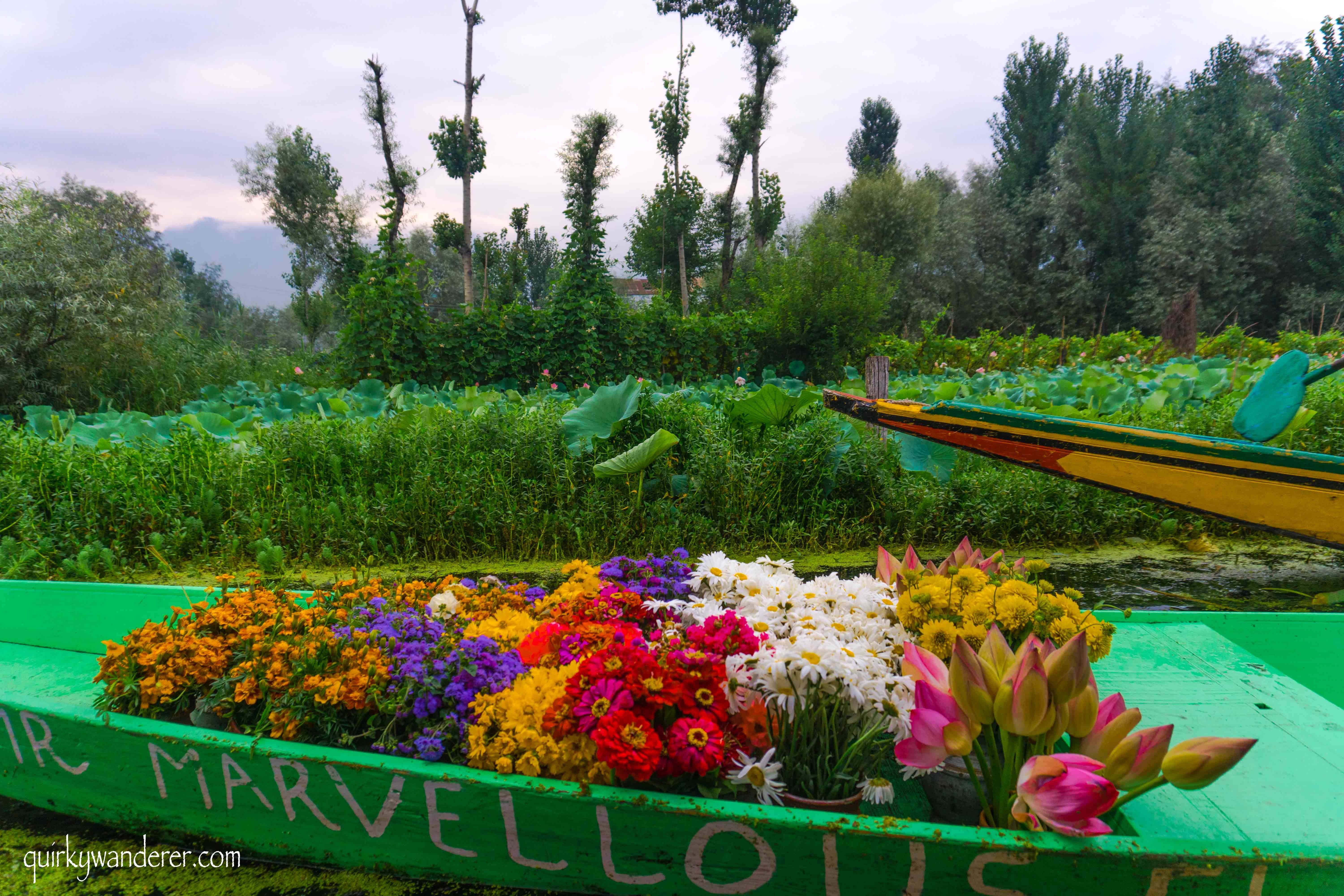 Spectacular Srinagar Magnificent Mughal Gardens