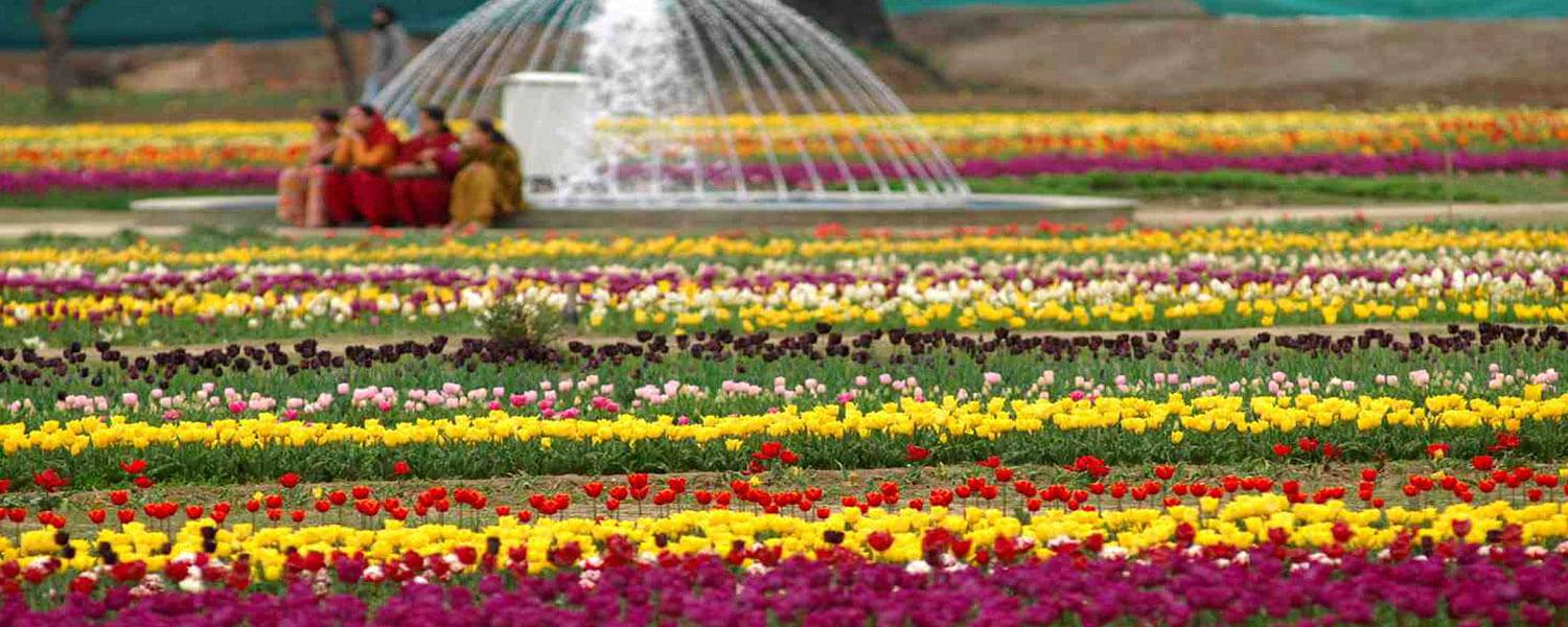 Top Mustsee Gardens
