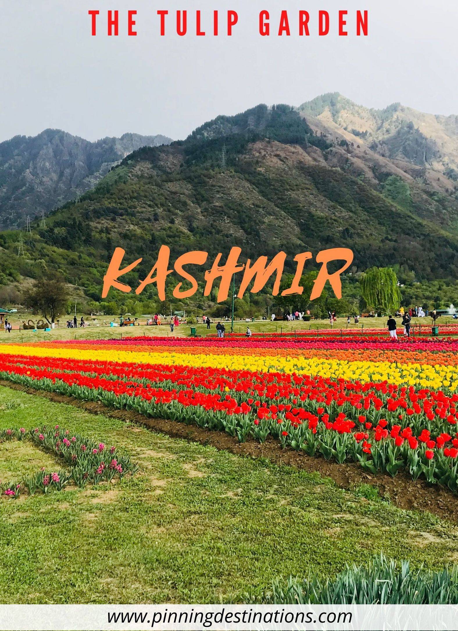 Srinagar Travel Destinations