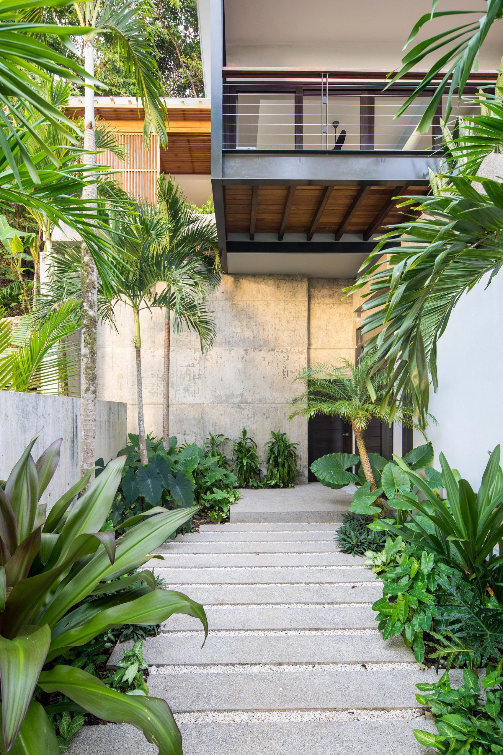 This Backyard Garden
