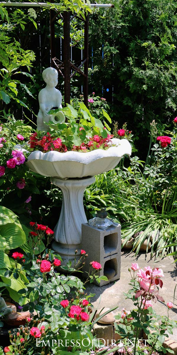 Bird Bath Garden