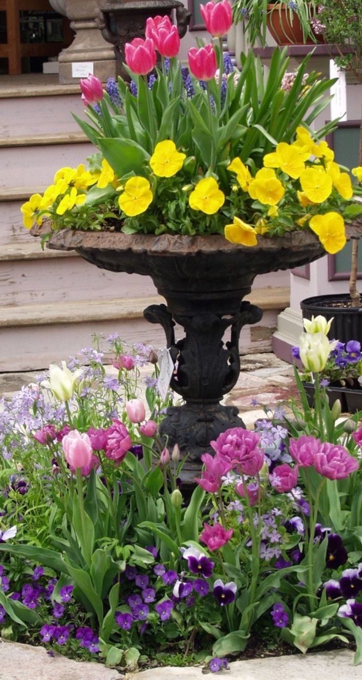 Hummingbird Garden