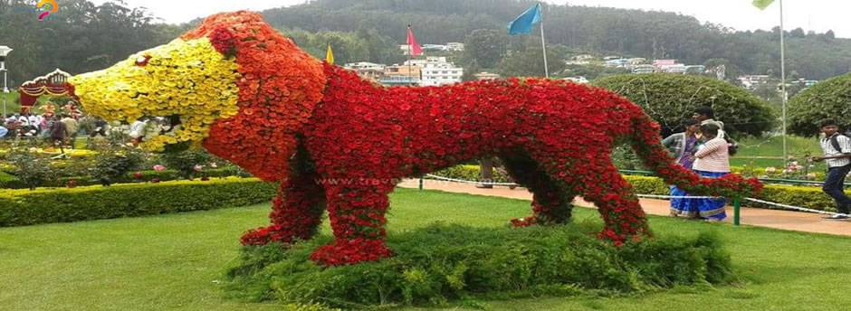 Stunning Rose Garden Ideas