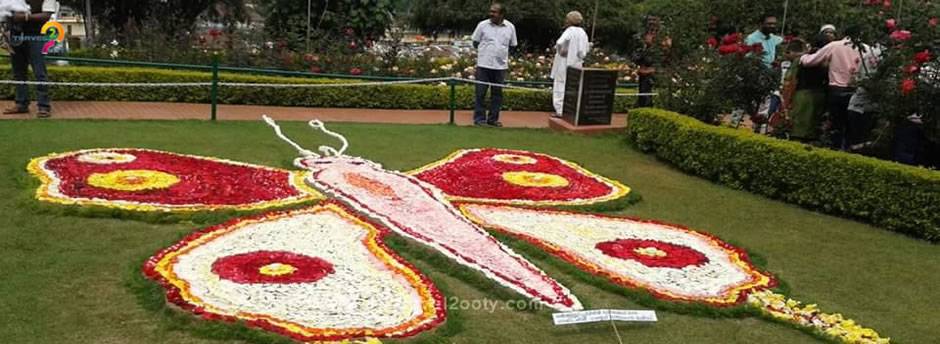 The Beautiful Rose Garden