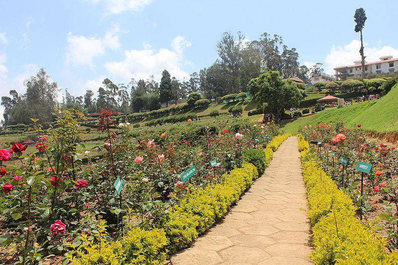 Ooty Rose Garden Landscaping With Roses Gardening For Beginners