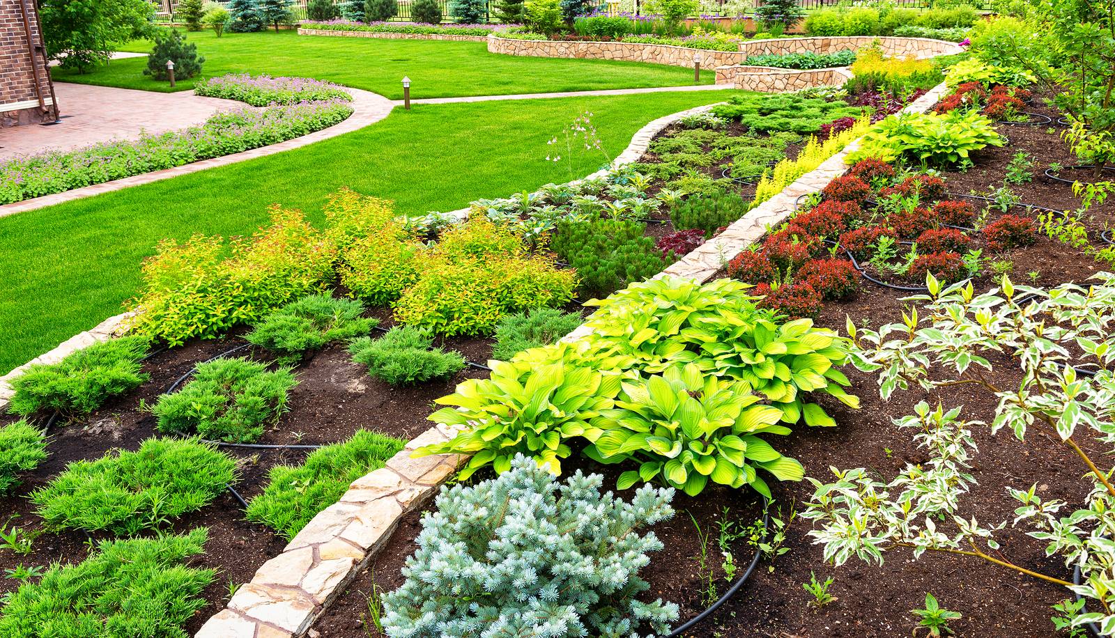 Summer Flower Garden Wallpaper Wallpapersafari