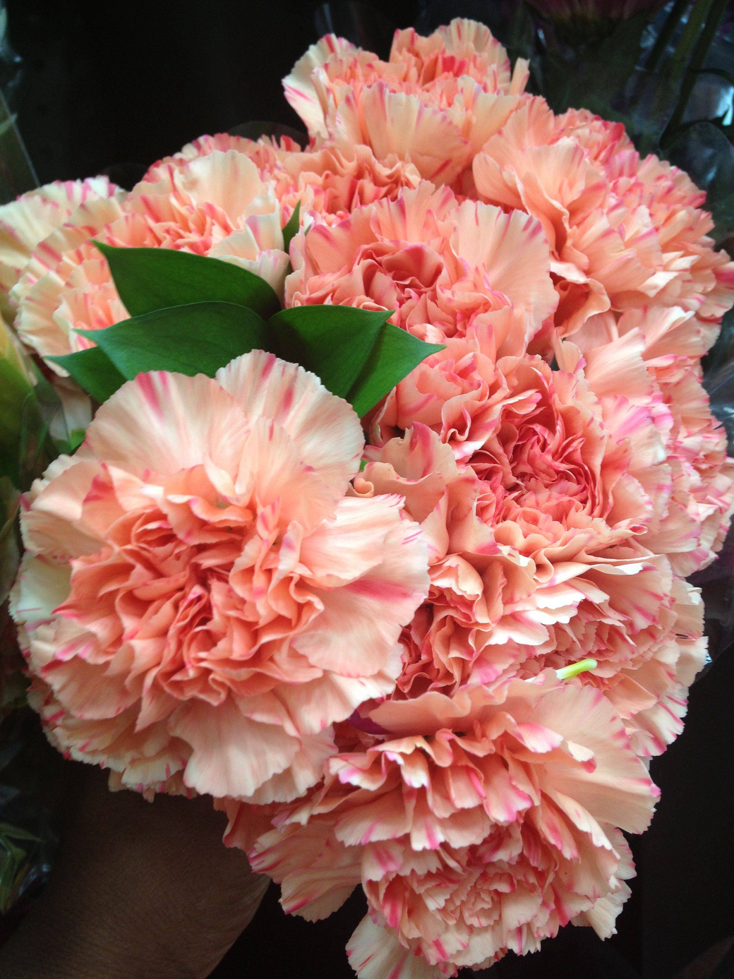 Vase Mix