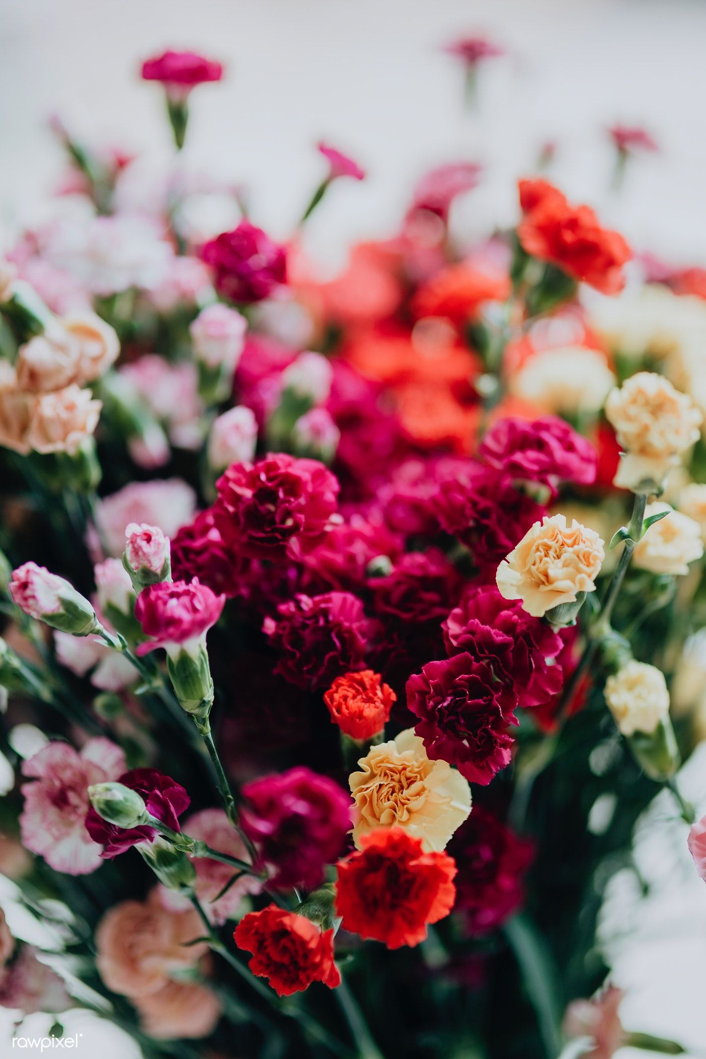 Stunning Spring Flower Garden Ideas