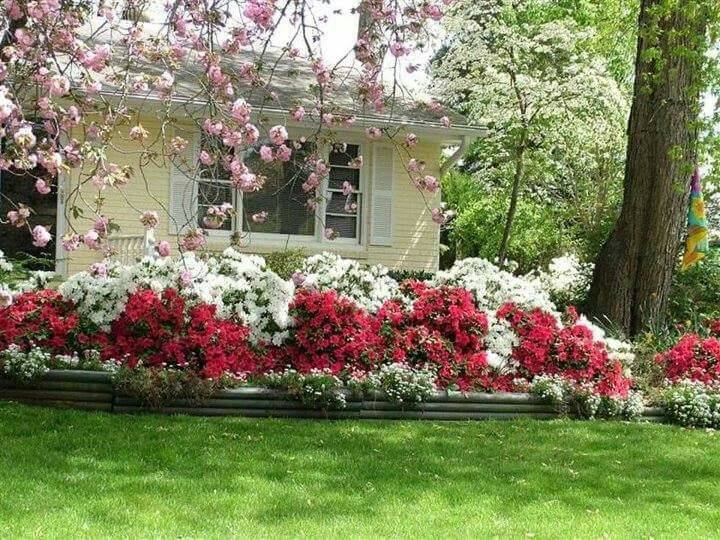 Front Yard Landscaping Ideas