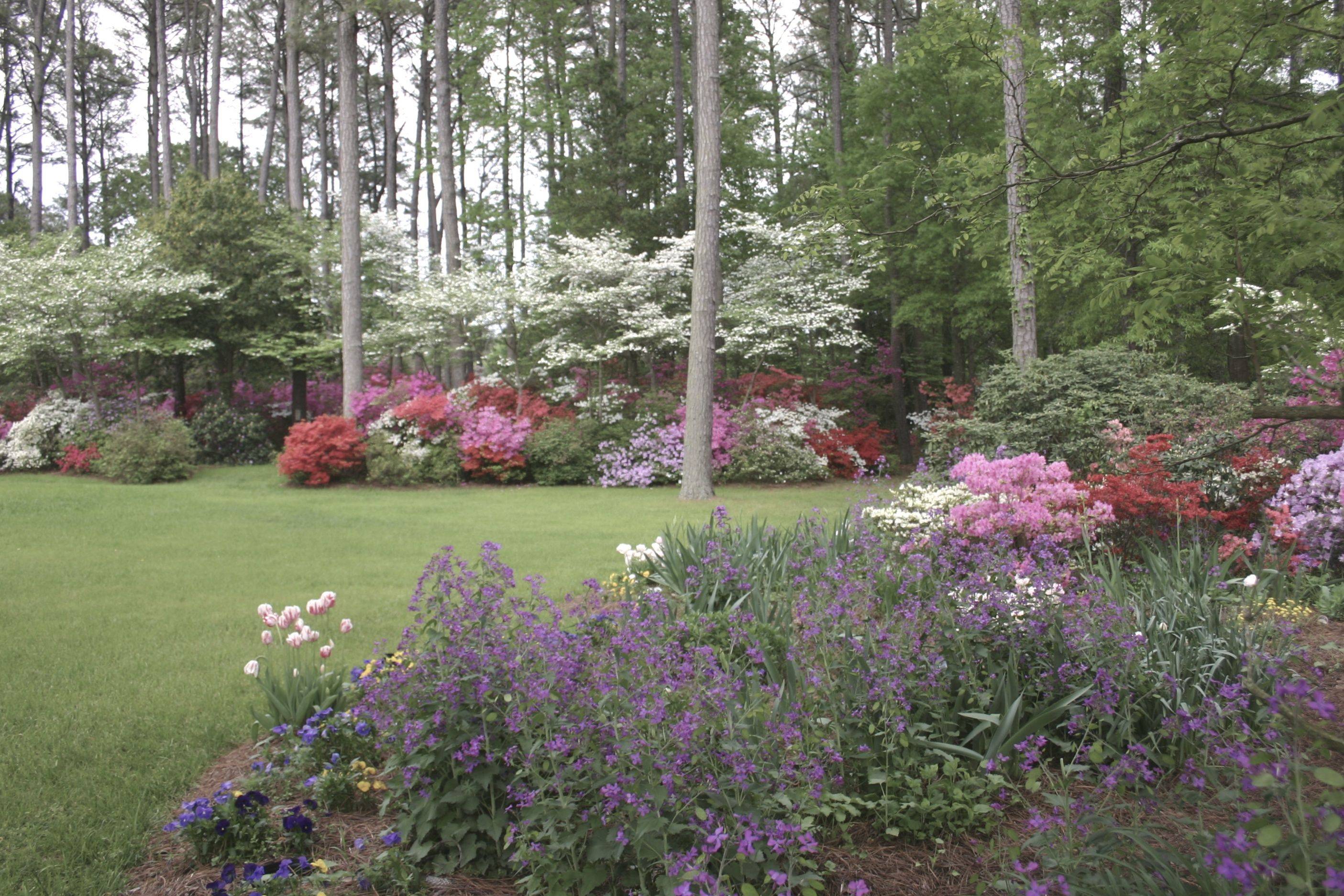 Residential Landscape Gallery