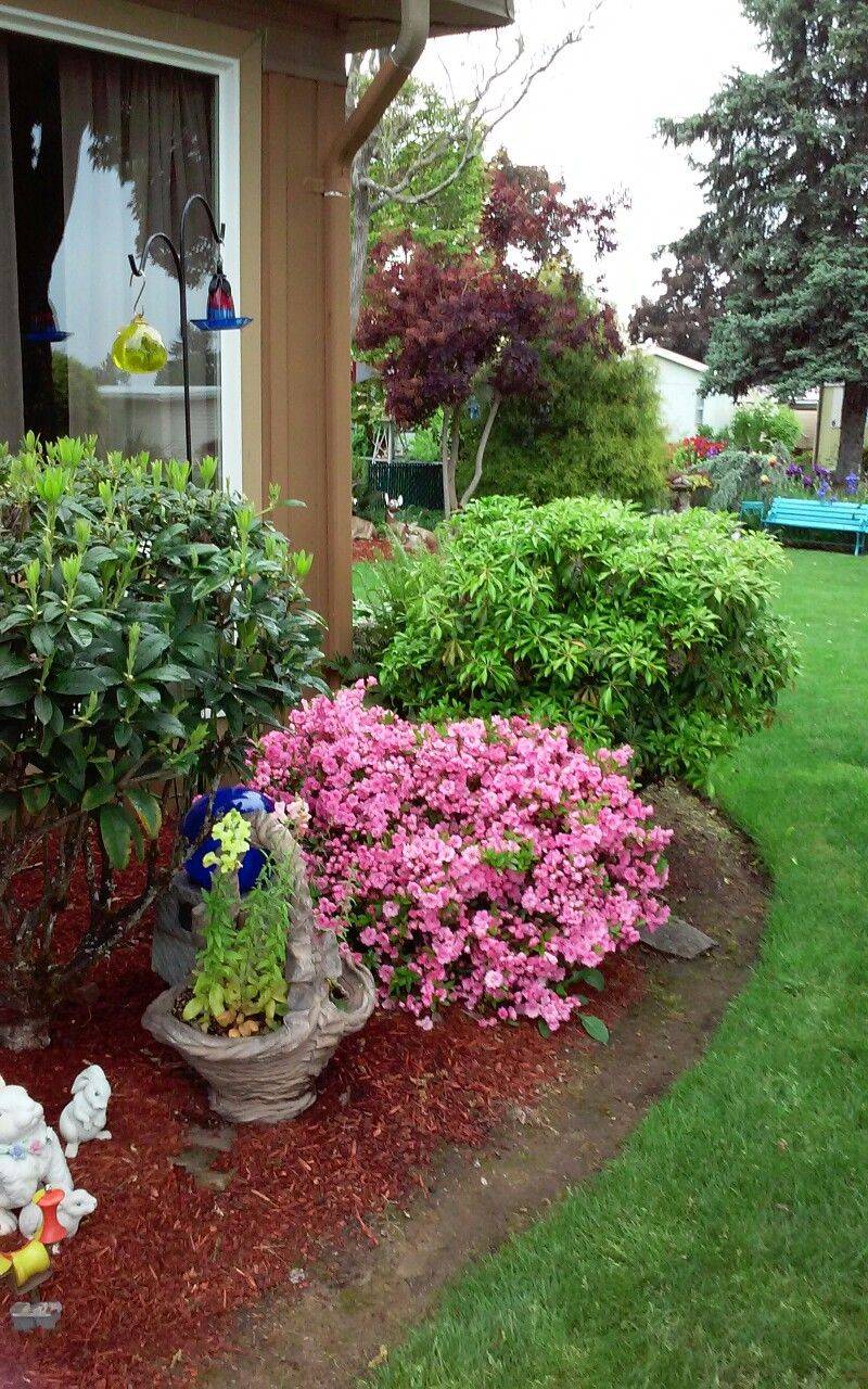 Residential Landscape Gallery