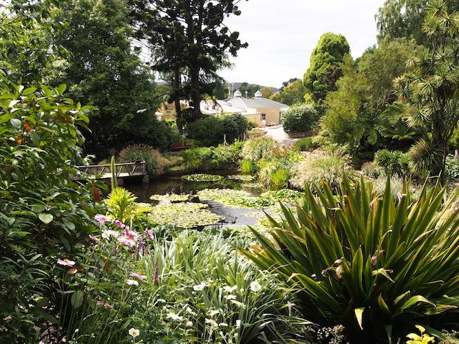Botanical Gardens Events Hobart Beautiful Flower Arrangements