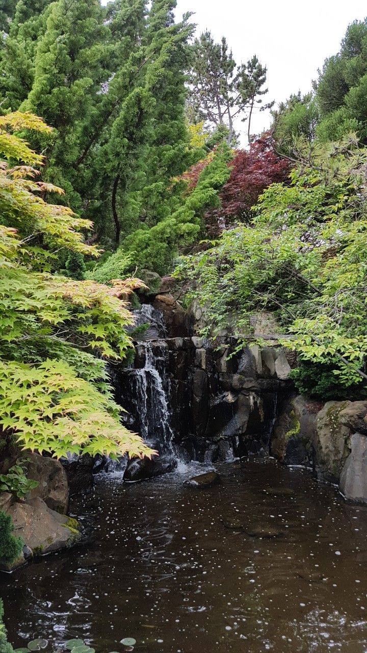 Royal Tasmanian Botanical Gardens