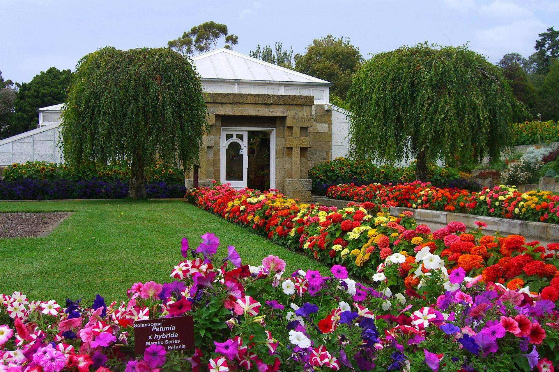 Hobart Botanic Gardens Garden Travel Hub