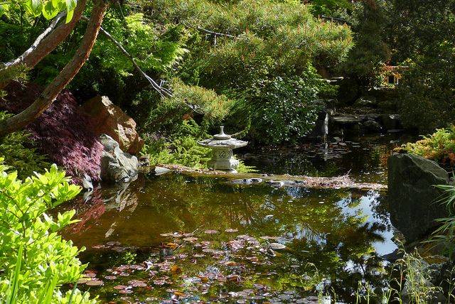 Royal Tasmanian Botanic Gardens