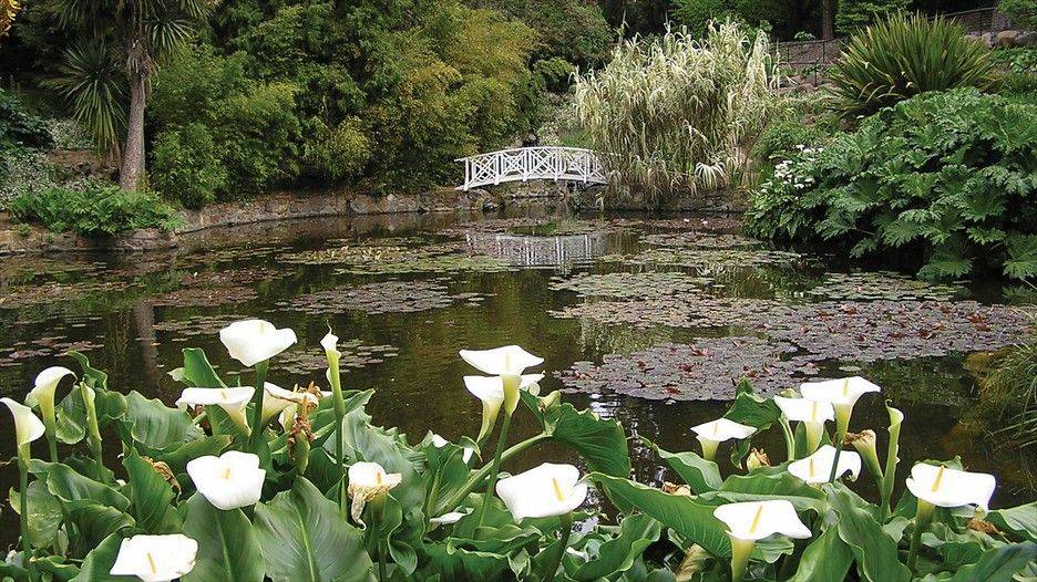 Hobart Japanese Garden Landscape