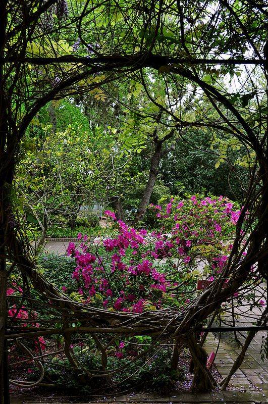 Amazing Azaleas Tim Austen Garden Designs