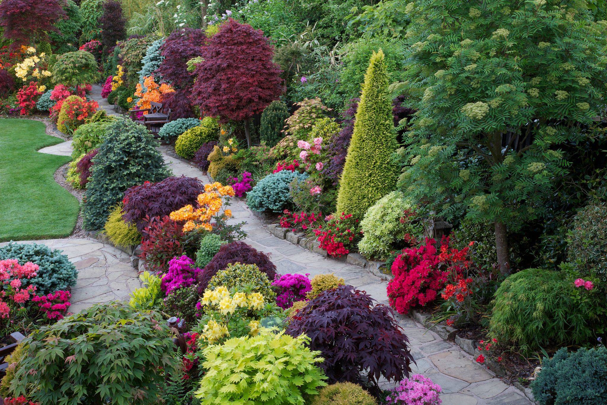 Azalea Landscaping Plants
