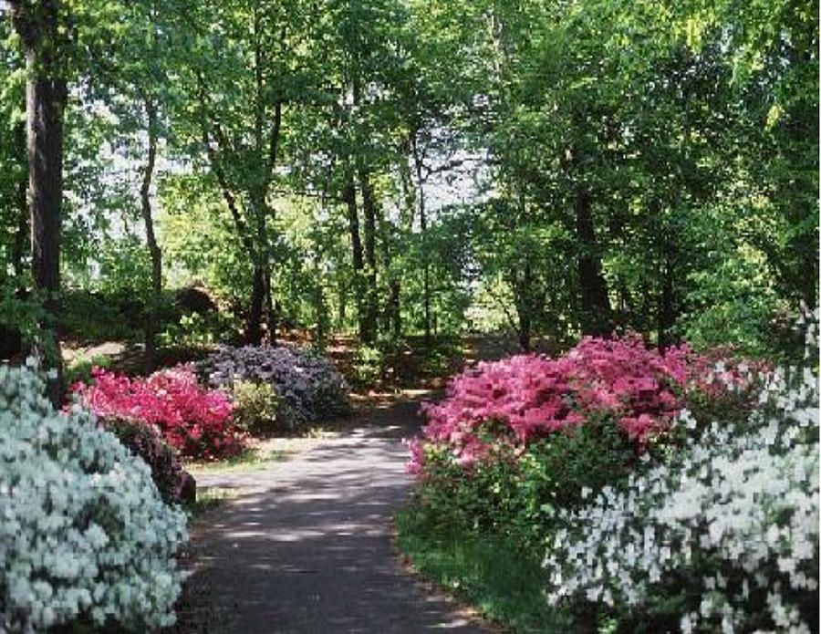 The Garden Secret Garden